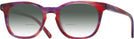 Square Razzmatazz Kala Buddy w/ Gradient Bifocal Reading Sunglasses View #1