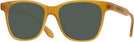 Square Honey Kala Fitzgerald Progressive Reading Sunglasses View #1