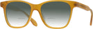 Square Honey Kala Fitzgerald w/ Gradient Bifocal Reading Sunglasses View #1