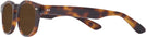 Round Amber Kala Kalifornia Bifocal Reading Sunglasses View #3