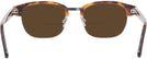 ClubMaster Amber/Gold Kala Malcolm Bifocal Reading Sunglasses View #4