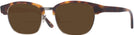 ClubMaster Amber/Gold Kala Malcolm Bifocal Reading Sunglasses View #1