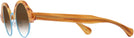 Round Sunset Tortoise With Blue Kala Omega w/ Gradient Progressive Reading Sunglasses View #3