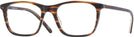 Square Whiskey Tortoise Kala Wharton Progressive No-Lines View #1