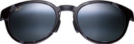 Black-grey Tort/Grey Lens #2