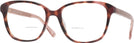 Square Havana Kate Spade Acerra Bifocal View #1