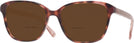 Square Havana Kate Spade Acerra Bifocal Reading Sunglasses View #1