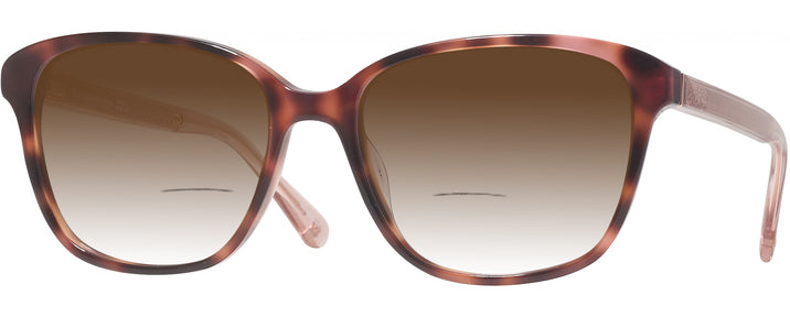 Square Havana Kate Spade Acerra w/ Gradient Bifocal Reading Sunglasses View #1