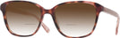 Square Havana Kate Spade Acerra w/ Gradient Bifocal Reading Sunglasses View #1