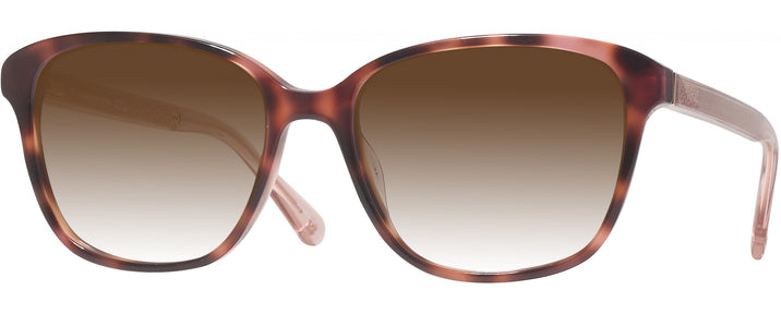 Square Havana Kate Spade Acerra w/ Gradient Progressive Reading Sunglasses View #1