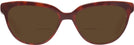 Oval Havana Kate Spade Cayenne Bifocal Reading Sunglasses View #2