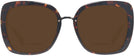 Square Havana Kate Spade Kimora-G-S Bifocal Reading Sunglasses View #2