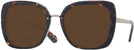 Square Havana Kate Spade Kimora-G-S Bifocal Reading Sunglasses View #1