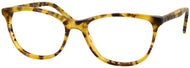 Blonde Tortoise #1