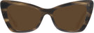 Butterfly Grey Tortoise Millicent Bryce 171 Progressive Reading Sunglasses View #2
