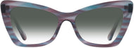 Blue & Purple Tortoise #2