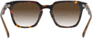 Square Tortoise With Light Brown Millicent Bryce 176 w/ Gradient Bifocal Reading Sunglasses View #4
