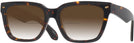 Square Tortoise Millicent Bryce 180 w/ Gradient Bifocal Reading Sunglasses View #1