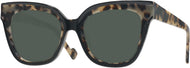 Grey Tortoise #1