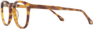 Round Tortoise Beethoven Progressive No-Lines View #3