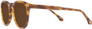 Round Tortoise Beethoven Progressive Reading Sunglasses View #3