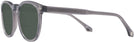 Round Tortoise Beethoven Bifocal Reading Sunglasses View #2