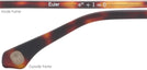 Oval Matte Tortoise Euler Bifocal View #4