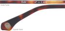 Oval Matte Tortoise Euler Progressive No-Lines View #4