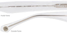 Wayfarer Crystal Newton 51 Bifocal Reading Sunglasses View #4