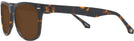 Wayfarer Matte Tortoise Newton 54 View #3