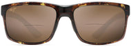 Olive Tortoise/hcl Bronze #2