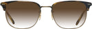 Square Cocobolo-Antique Gold Oliver Peoples 5359 w/ Gradient Progressive Reading Sunglasses View #2