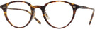 Oval Havana Oliver Peoples 5577 Single Vision Full Frame View #1