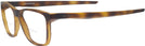 Square Satin Brown Tortoise Oakley OX8163L Bifocal View #3