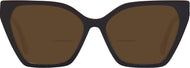 Brown With Tortoise Temple #2