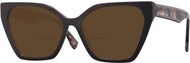 Brown With Tortoise Temple #1