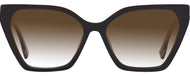 Brown With Tortoise Temple #2