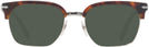 Square Havana Persol 3199S Sunglasses View #2