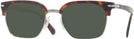Square Havana Persol 3199S Sunglasses View #1