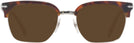 Square Havana Persol 3199S Progressive Reading Sunglasses View #2