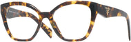 Honey Tortoise #1