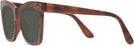 Wayfarer Tortoise Carpe Diem Bifocal Reading Sunglasses View #3