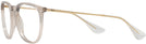 Round TRANPARENT LIGHT BROWN/GRADIENT BROWN Ray-Ban 4171 Single Vision Full Frame View #3
