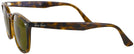 Square Shiny Havana Ray-Ban 4258 Sunglasses View #3