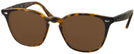 Square Shiny Havana Ray-Ban 4258 Progressive Reading Sunglasses View #1