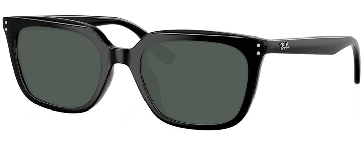 Square Black Ray-Ban 4439D Progressive Reading Sunglasses View #1