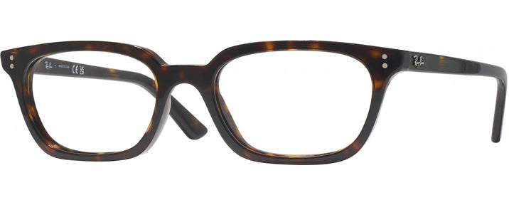 Rectangle Havana Ray-Ban 4456 Progressive No-Lines View #1