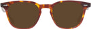 Square Tortoise Orville Progressive Reading Sunglasses View #2