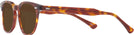 Square Tortoise Orville Progressive Reading Sunglasses View #3
