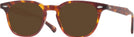 Square Tortoise Orville Progressive Reading Sunglasses View #1